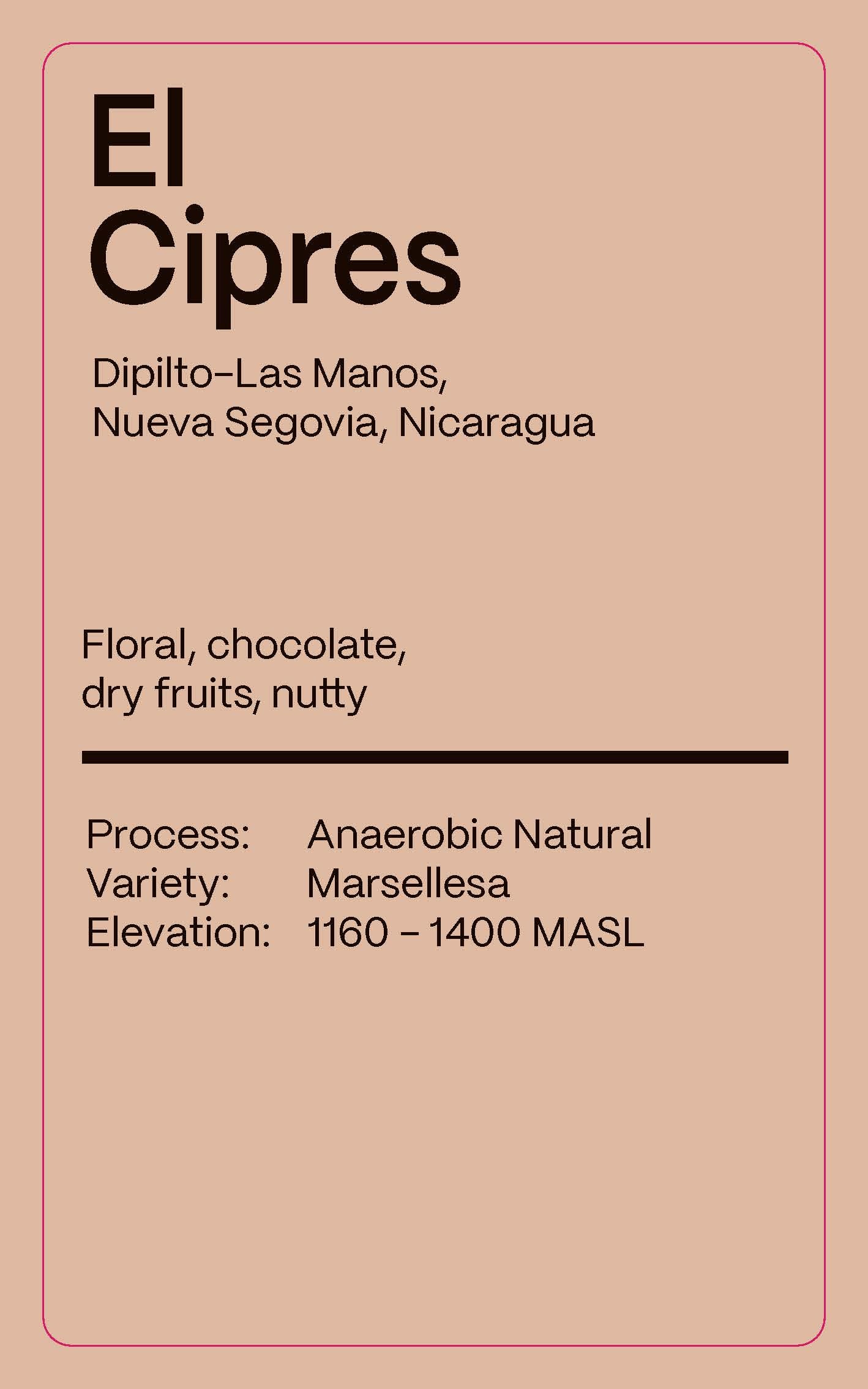 Nicaragua El Cipres - Drip Pack