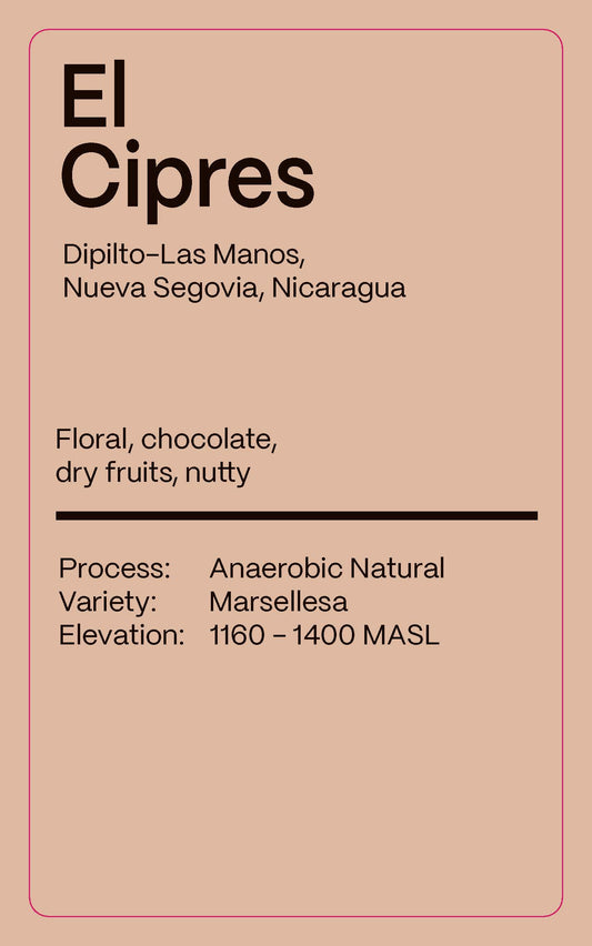 Nicaragua El Cipres - Drip Pack