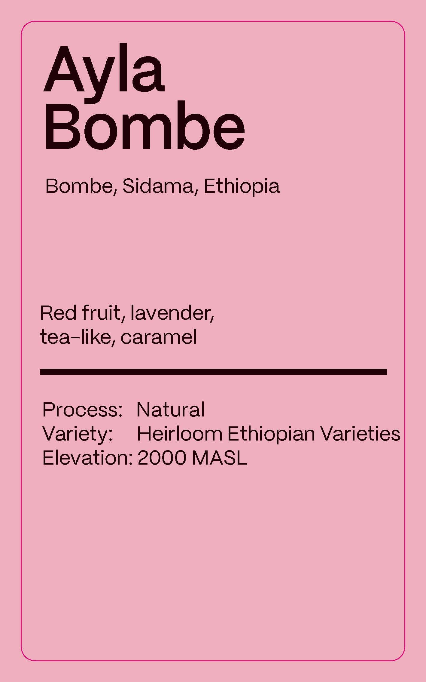 Ethiopia Ayla Bombe - Drip Pack