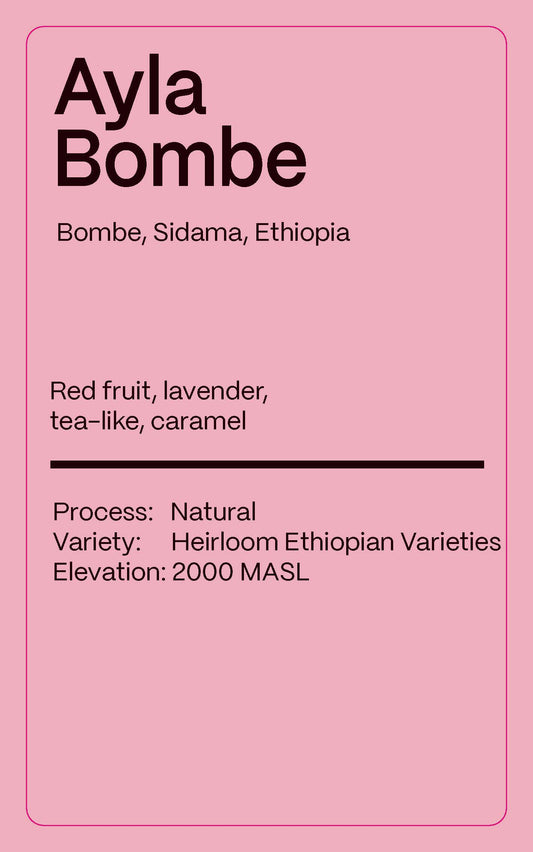 Ethiopia Ayla Bombe - Drip Pack