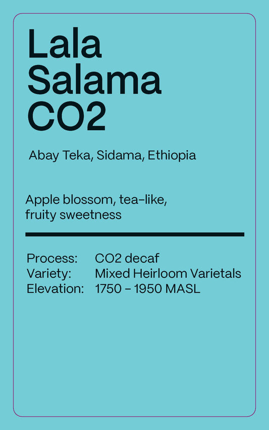 Ethiopia Lala Salama Decaf - Drip Pack