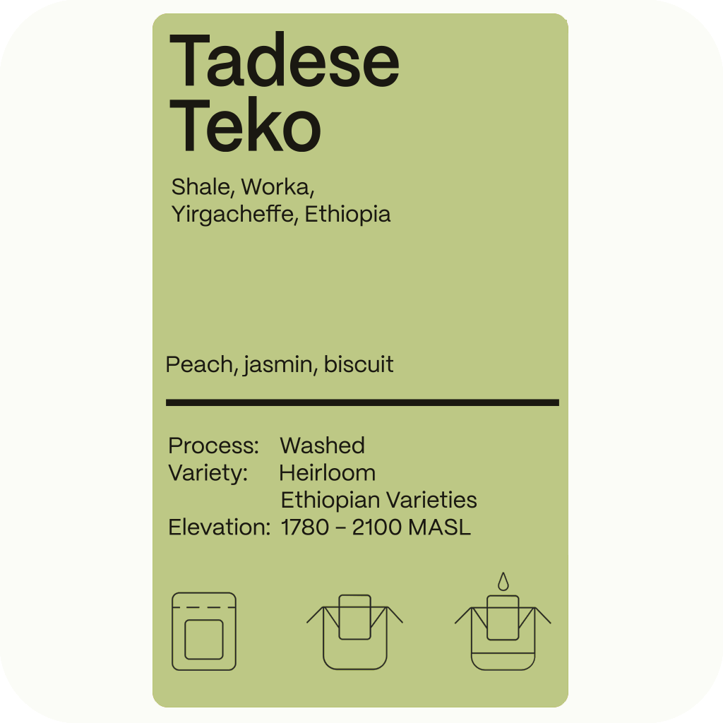 Ethiopia Tadese Teko - Drip Pack