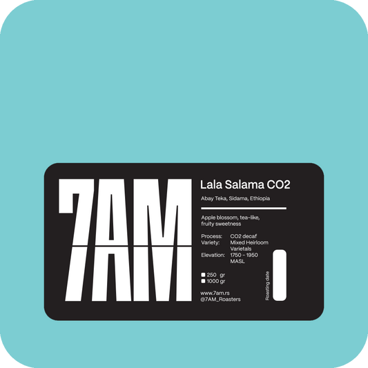 Ethiopia Lala Salama CO2 Decaf