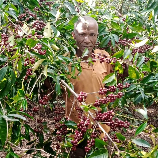 Ethiopia Mengeche Derso