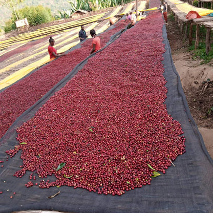 Ethiopia Mengeche Derso