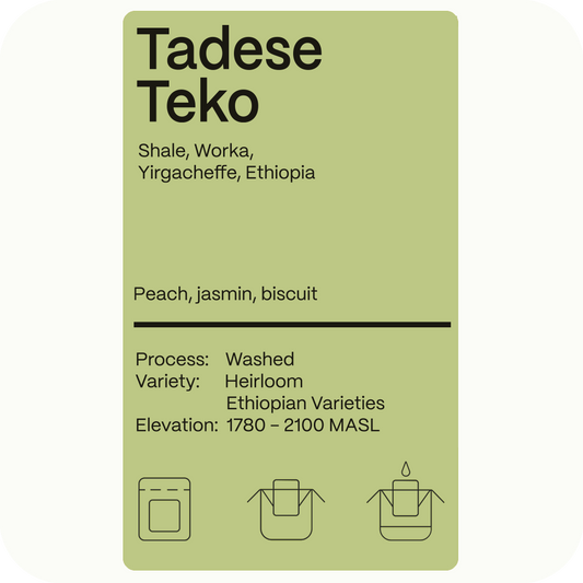 Ethiopia Tadese Teko - Drip Pack