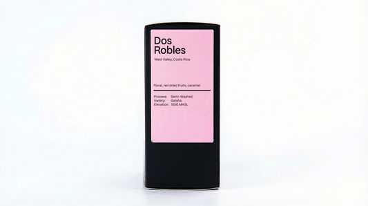 Costa Rica Dos Robles - Drip Pack