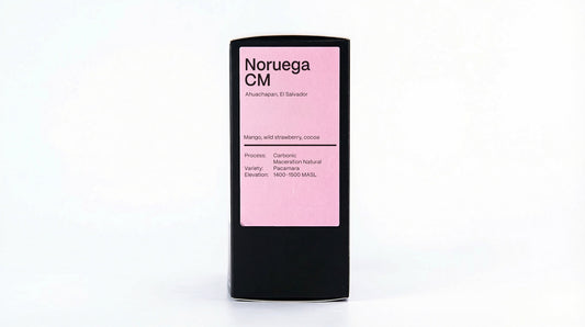 El Salvador Noruega - Drip Pack